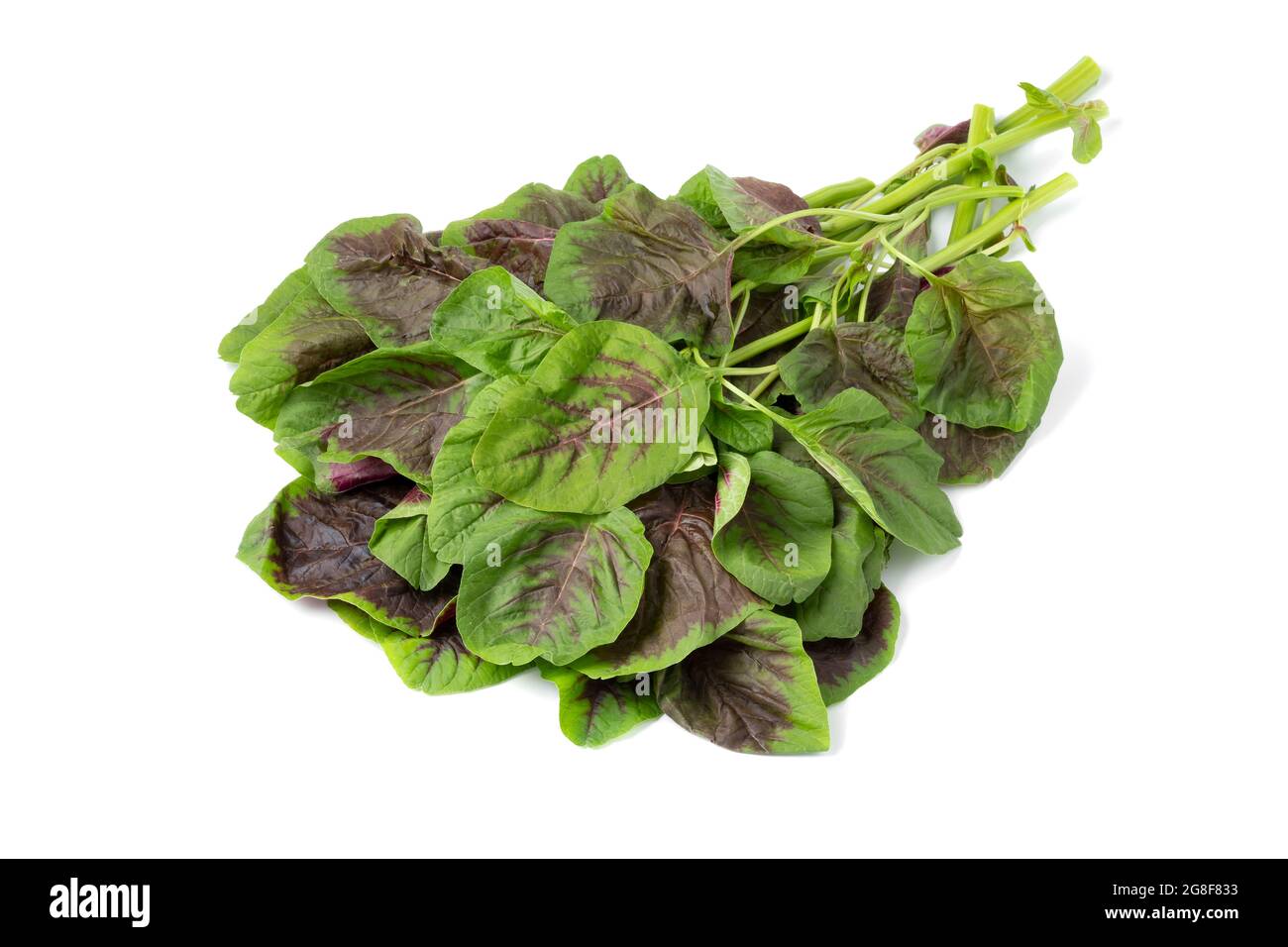 Foglie di amaranto fresche e crude su sfondo bianco Foto Stock