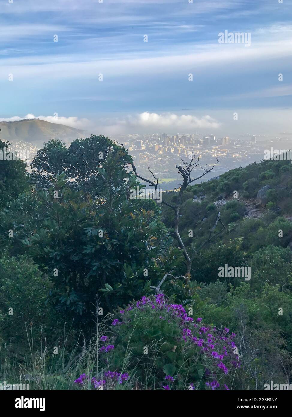 Vista panoramica dal sentiero escursionistico della Gola di Platteklip a Table Mountain a Città del Capo al mattino contro il cielo blu con le nuvole Foto Stock
