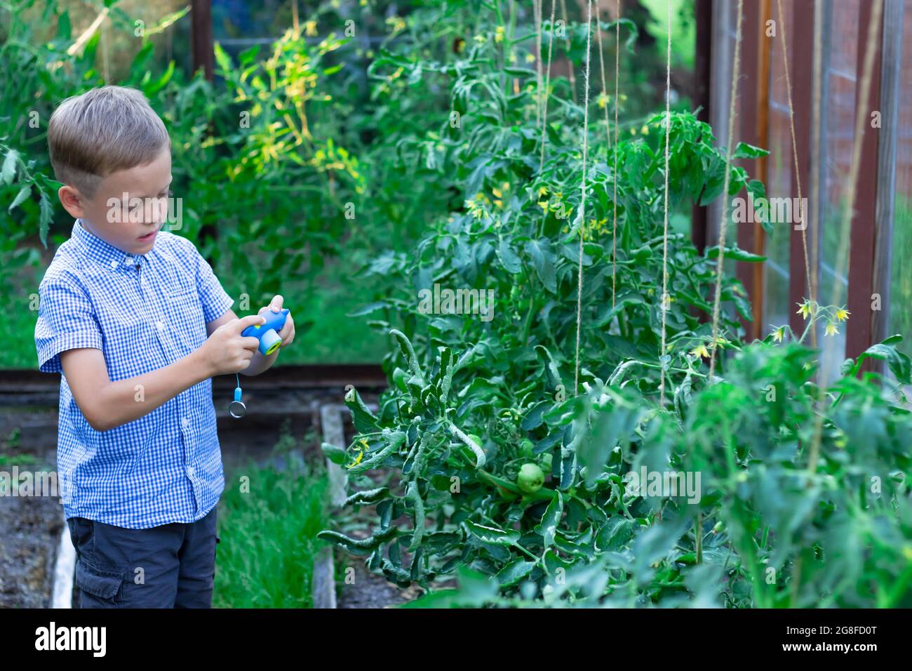 Un simpatico ragazzo preschooler con un taglio netto in una camicia blu scatta foto di piante verdi in una serra in una calda giornata estiva. Messa a fuoco selettiva. PORTRA Foto Stock