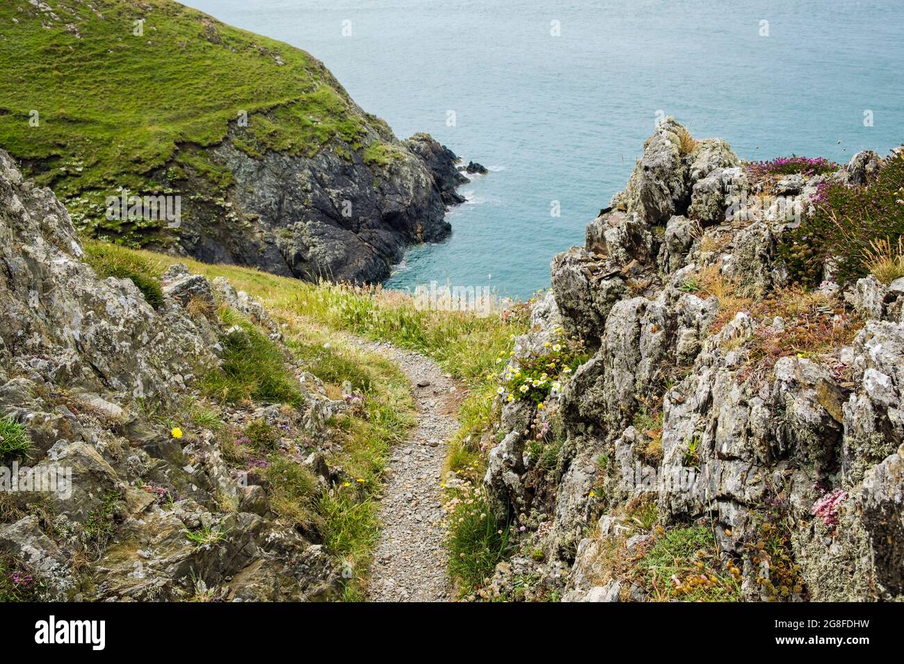 Sentiero costiero attraverso le rocce intorno a Carmel Head in estate. Isola di Anglesey, Galles del nord, Regno Unito, Gran Bretagna Foto Stock