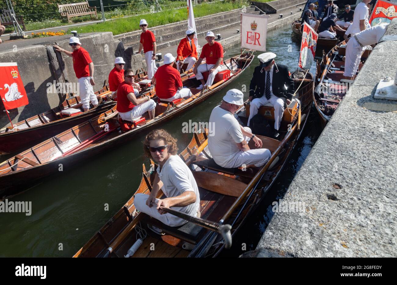 Boveney Lock, vicino Eton, Regno Unito: 20 luglio 2021. Annuale Swan Upping censimento della popolazione cigno sul fiume Tamigi. I ruscelli della Worshipful Company of Vintners e della Worshipful Company of Dyers si sollevano lungo il fiume in tradizionali skiffs con il marcatrice della regina David Barber (blazer scarlatto). Si ritiene che l'evento annuale risalga al 1189, quando la Corona rivendicò la proprietà di tutti i cigni muti per il cibo per banchetti e feste. Oggi i cigneti sono pesati e misurati per ottenere stime dei tassi di crescita e sono esaminati per i segni di pregiudizio, di solito causato da ganci da pesca e lenza. Foto Stock