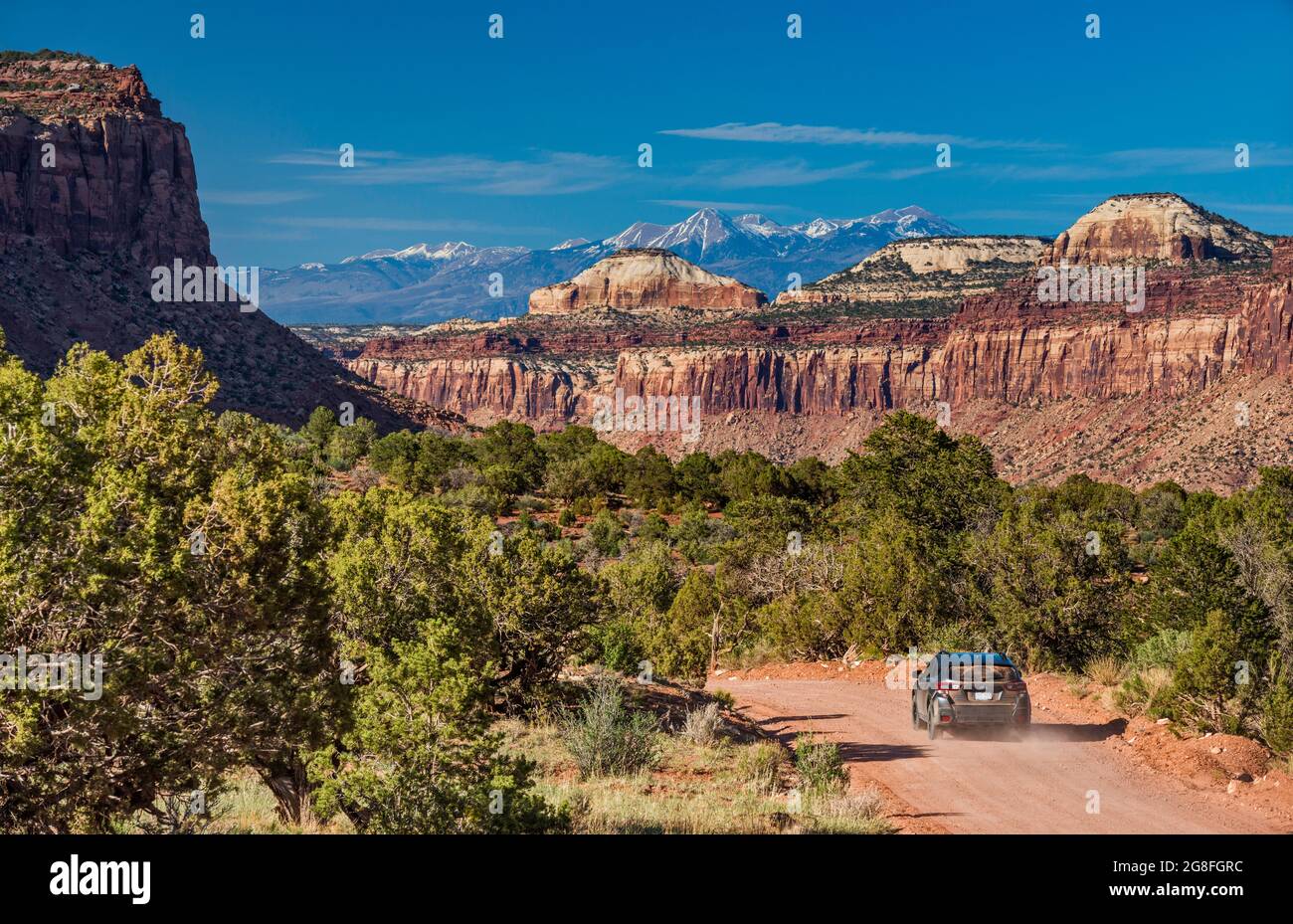 Beef Basin Road, Shay Mesa, Cottonwood Creek Canyon, la SAL Mtns in dist, 40 miglia a nord-est, Bears Ears National Monument, Canyonlands area, Utah, USA Foto Stock