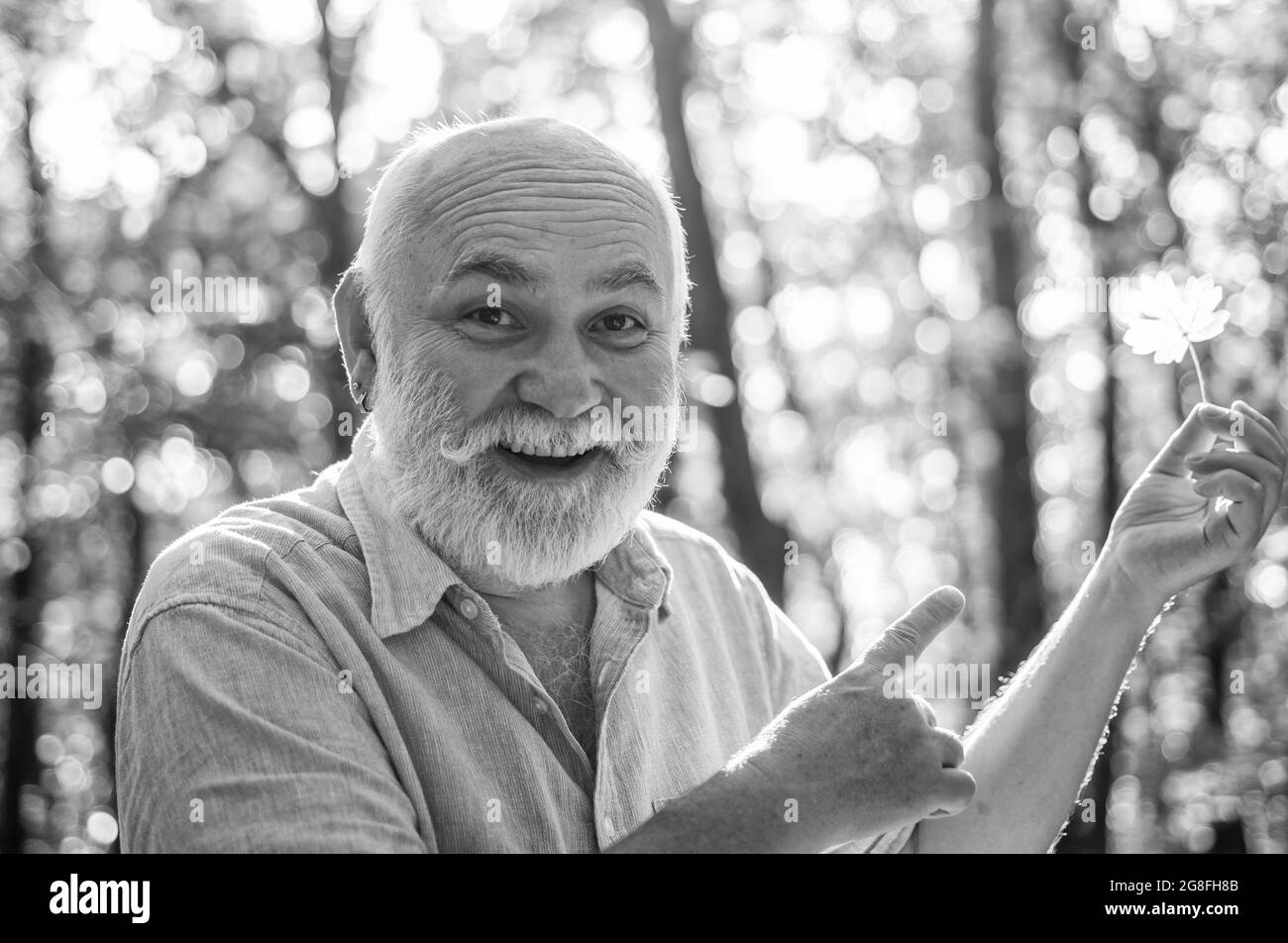 Mantenere la allegria. Guarda la bellezza in cose semplici. L'uomo vecchio bearded raccoglie le foglie. L'uomo felice gode della natura autunnale. Nonno bearded che si rilassa nella foresta Foto Stock