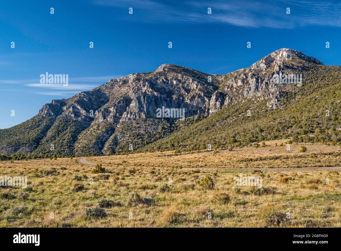 Swasey Peak, massiccio delle Swasey Mountain a House Range, Utah, Stati Uniti Foto Stock