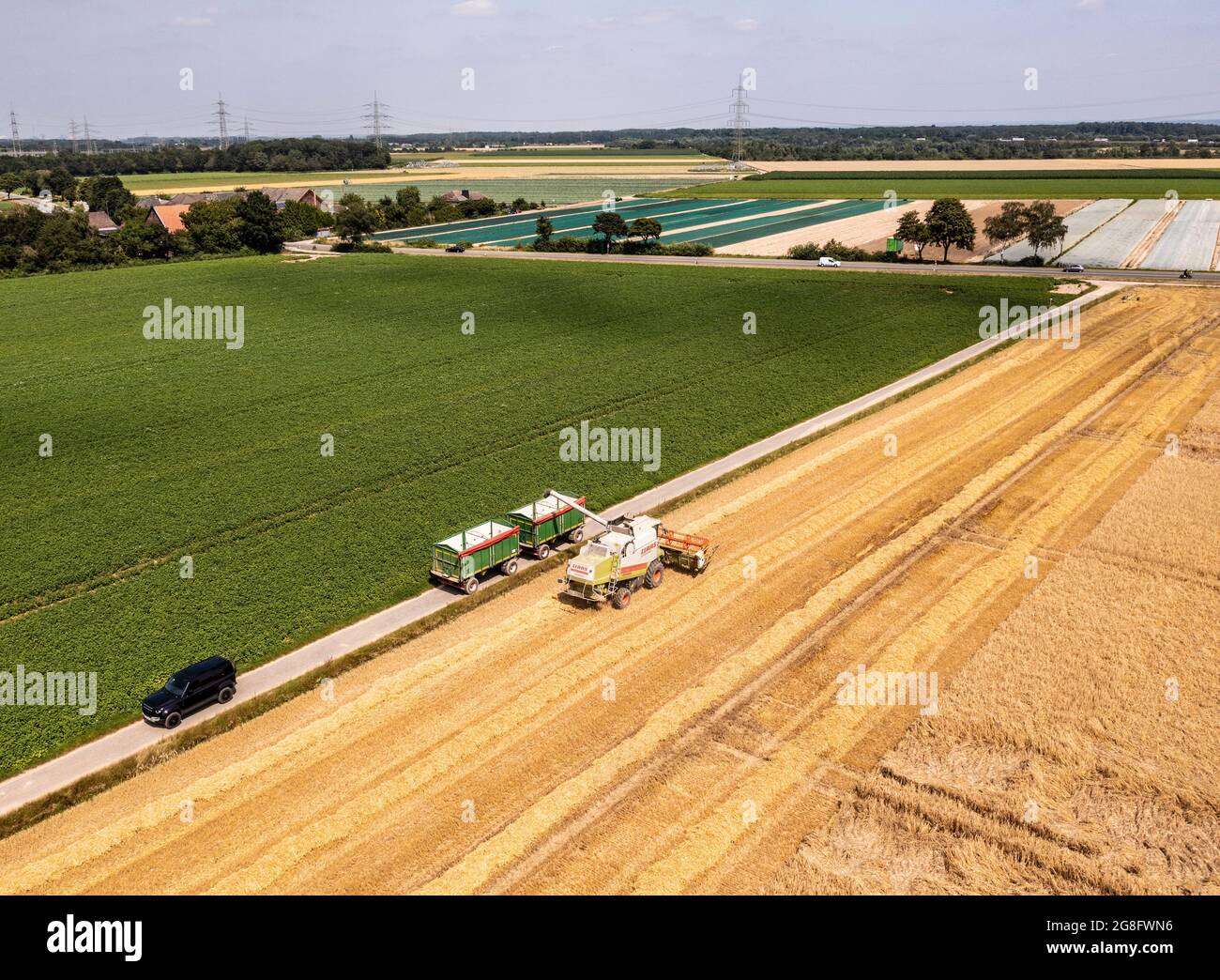 Ein Mähdrescher erntet ein Feld ab. Luftaufnahme Drohnenaufnahme Sommer Foto Stock