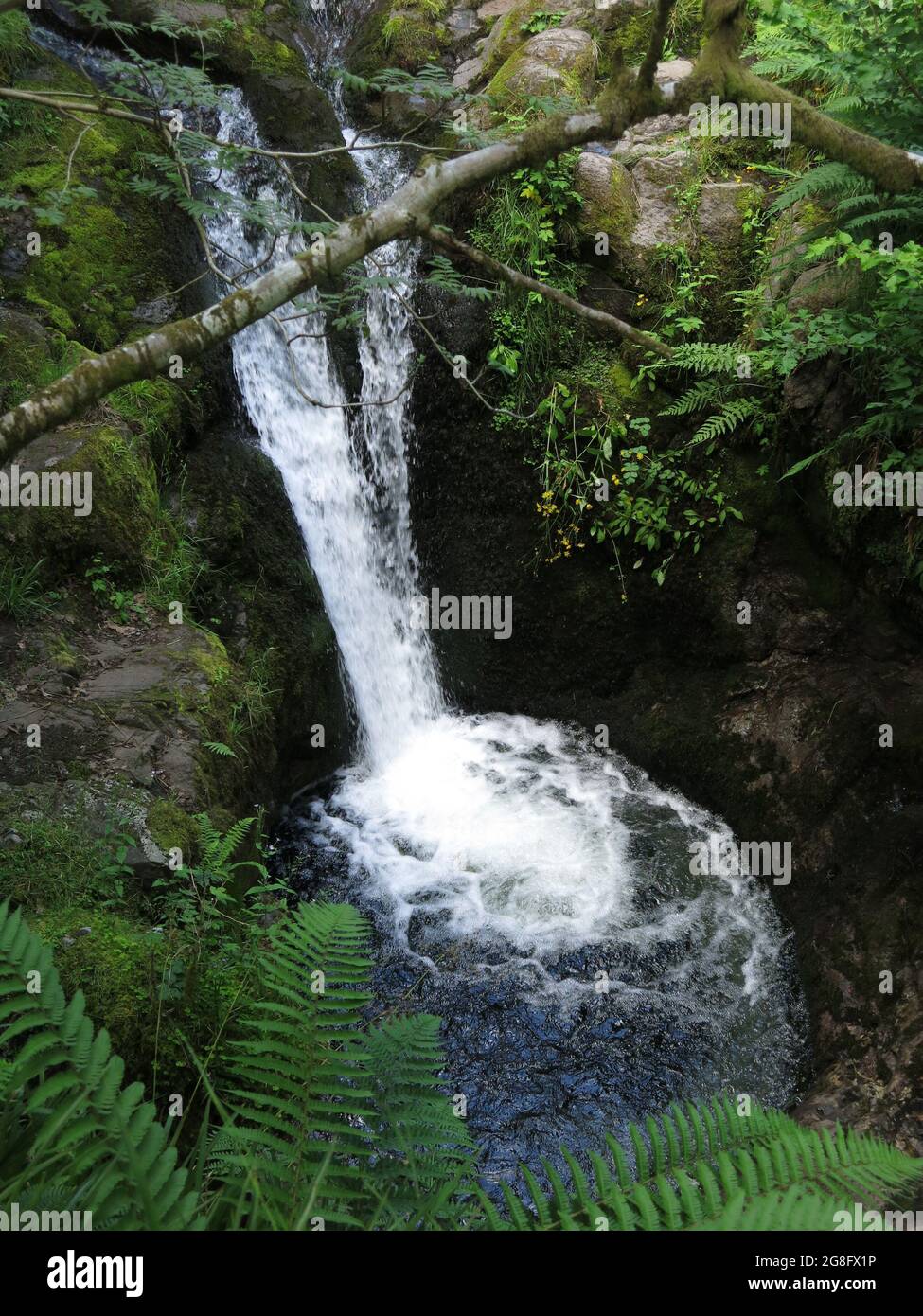 Cascata vista dal sentiero di una passeggiata boschiva attraverso Dollar Glen nelle Ochil Hills, Scozia centrale. Foto Stock