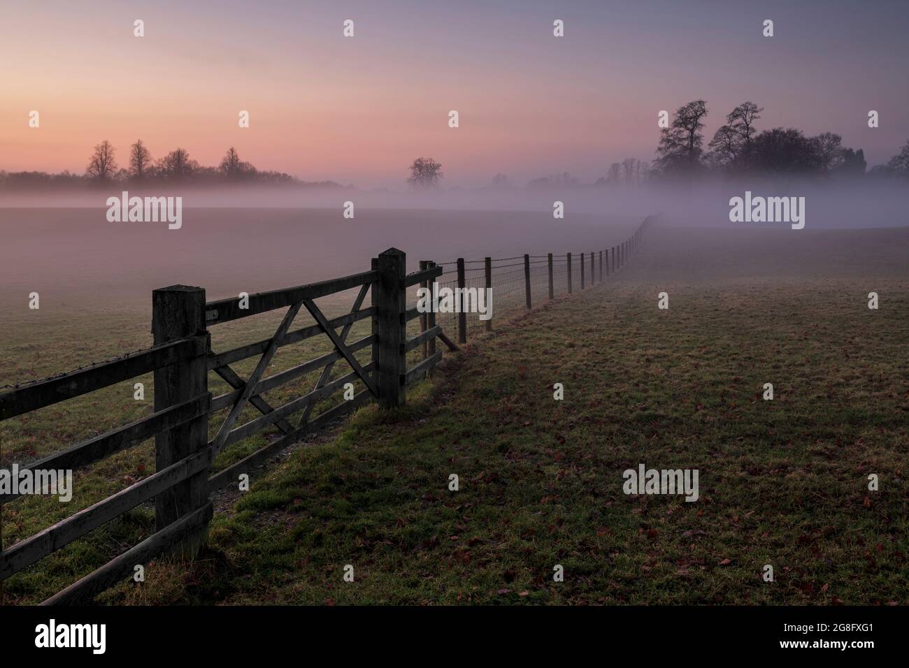 Gated field pieno di nebbia al tramonto, Chelford, Cheshire, Inghilterra, Regno Unito, Europa Foto Stock