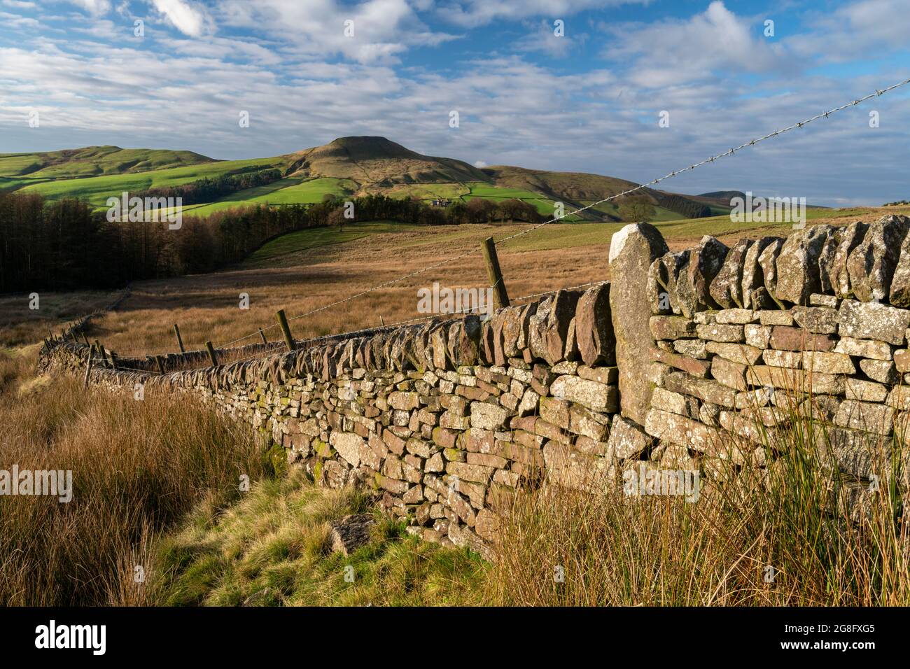 Vecchio muro di pietra con il picco di Shutlingsloe, vicino Wildboarcough, Peak District National Park, Cheshire, Inghilterra, Regno Unito, Europa Foto Stock