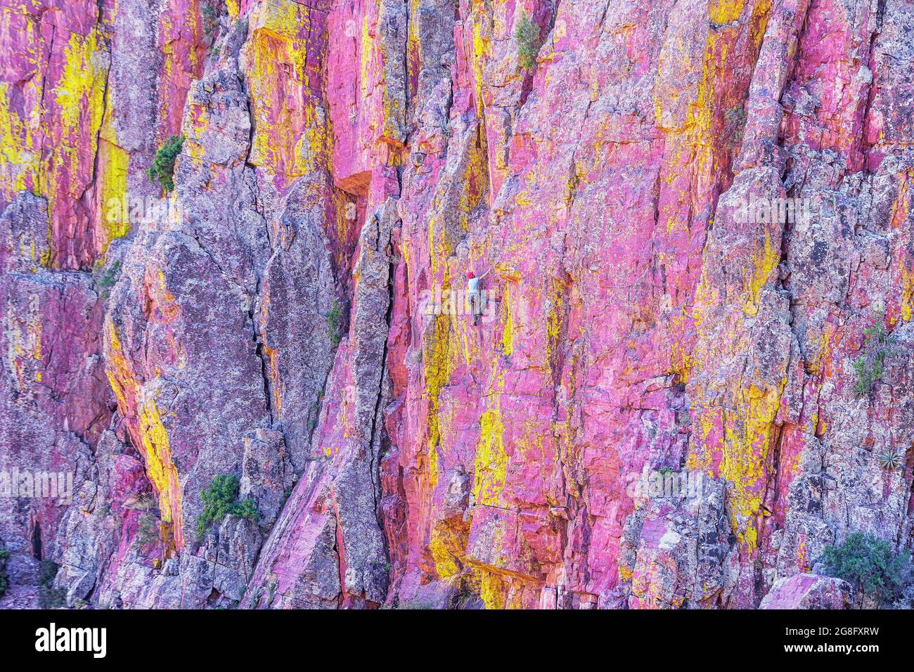 Arrampicata maschile, Coconino National Forest, Arizona, Stati Uniti, Nord America Foto Stock