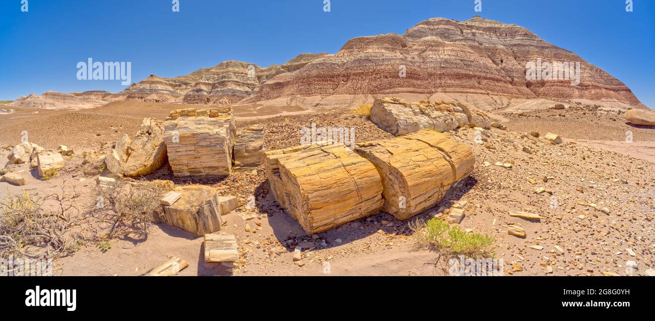 Grandi pezzi di legno pietrificato sul lato ovest del Red Basin nel Petrifified Forest National Park Arizona, USA, Nord America Foto Stock
