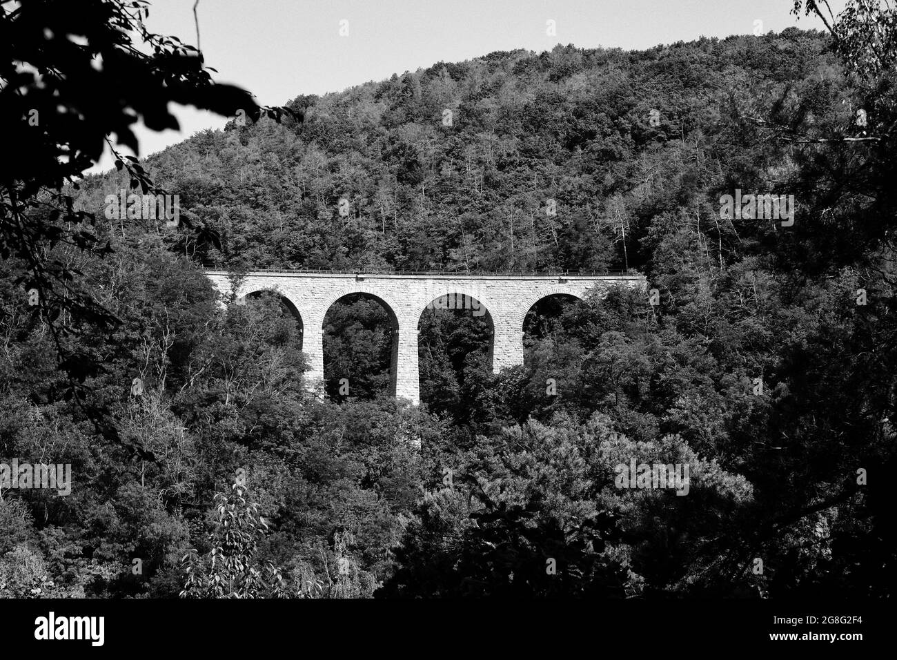 ponte per il treno sulla valle con la natura Foto Stock