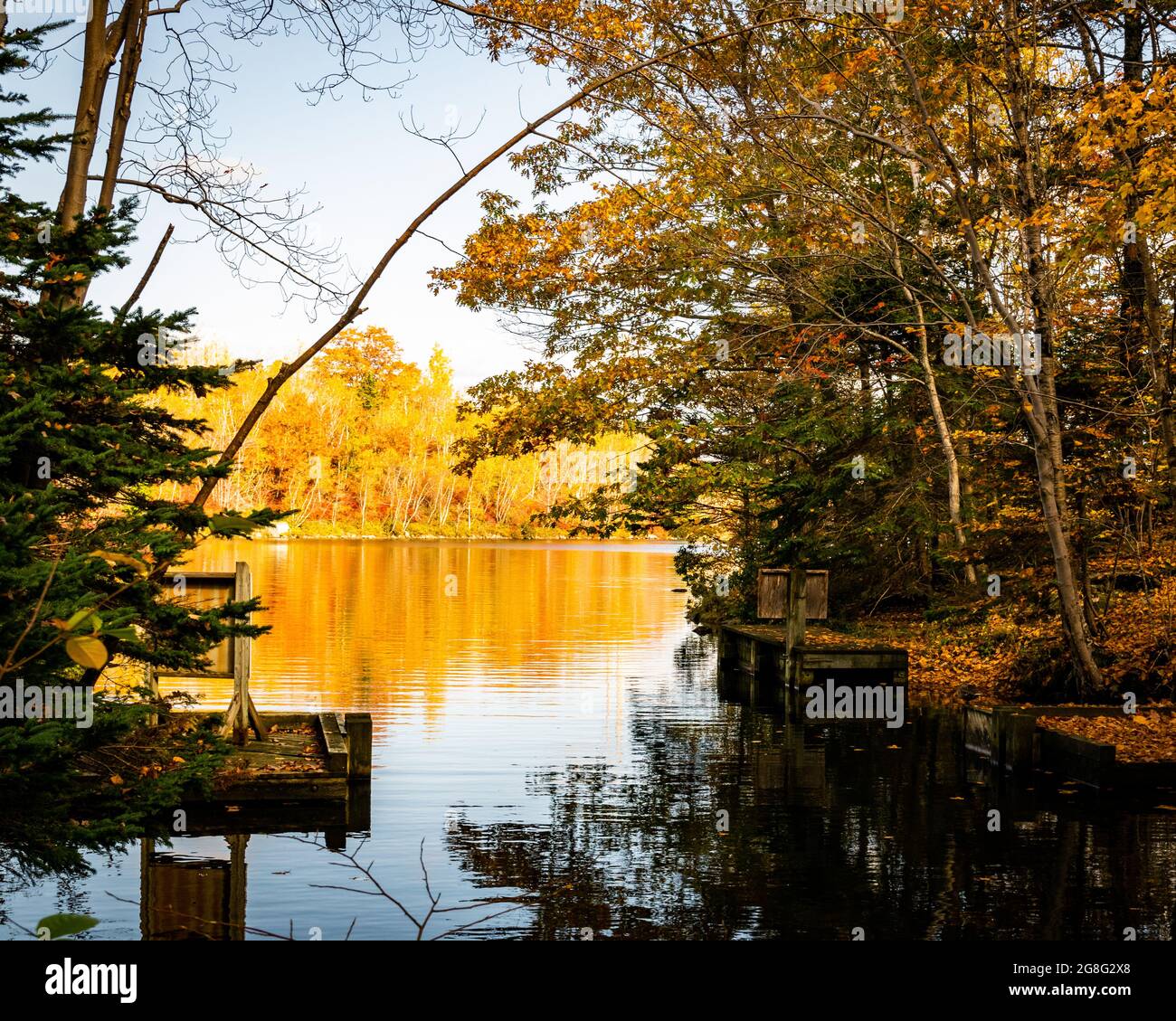 foce di un fiume che si apre in un lago e il riflesso d'oro degli alberi sull'acqua Foto Stock