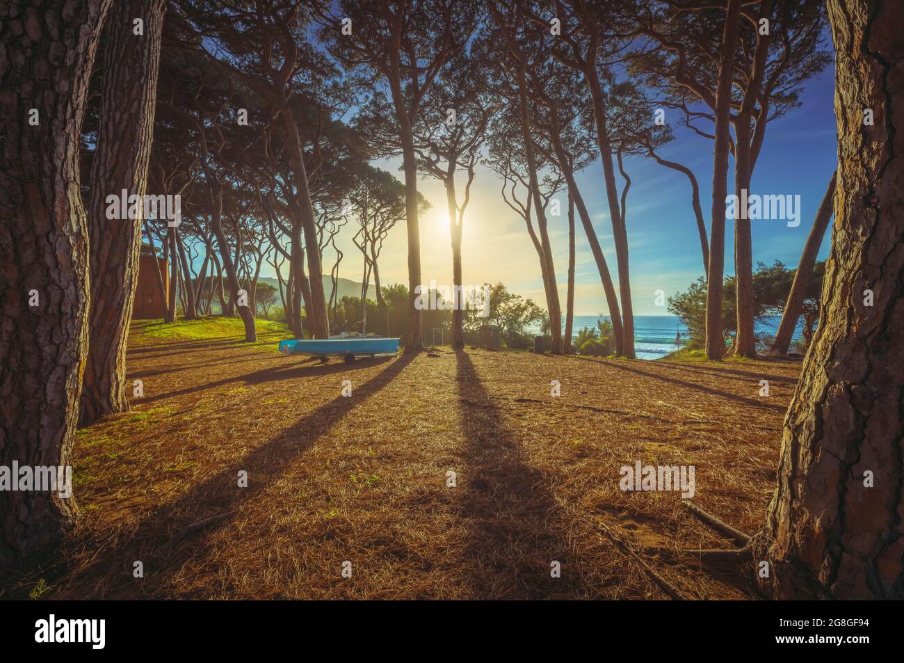 Pineta e una piccola barca al tramonto in Maremma. Spiaggia e mare Baratti, Piombino, Toscana, Italia Foto Stock