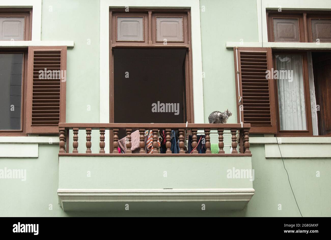 Cat sul balcone dell'appartamento Foto Stock