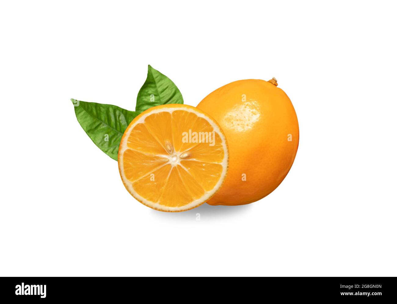 Agrumi arancio isolato su sfondo bianco. Limone d'arancia meyeri agli agrumi. Frutta succosa con foglie di chiodo di garofano. Foto Stock