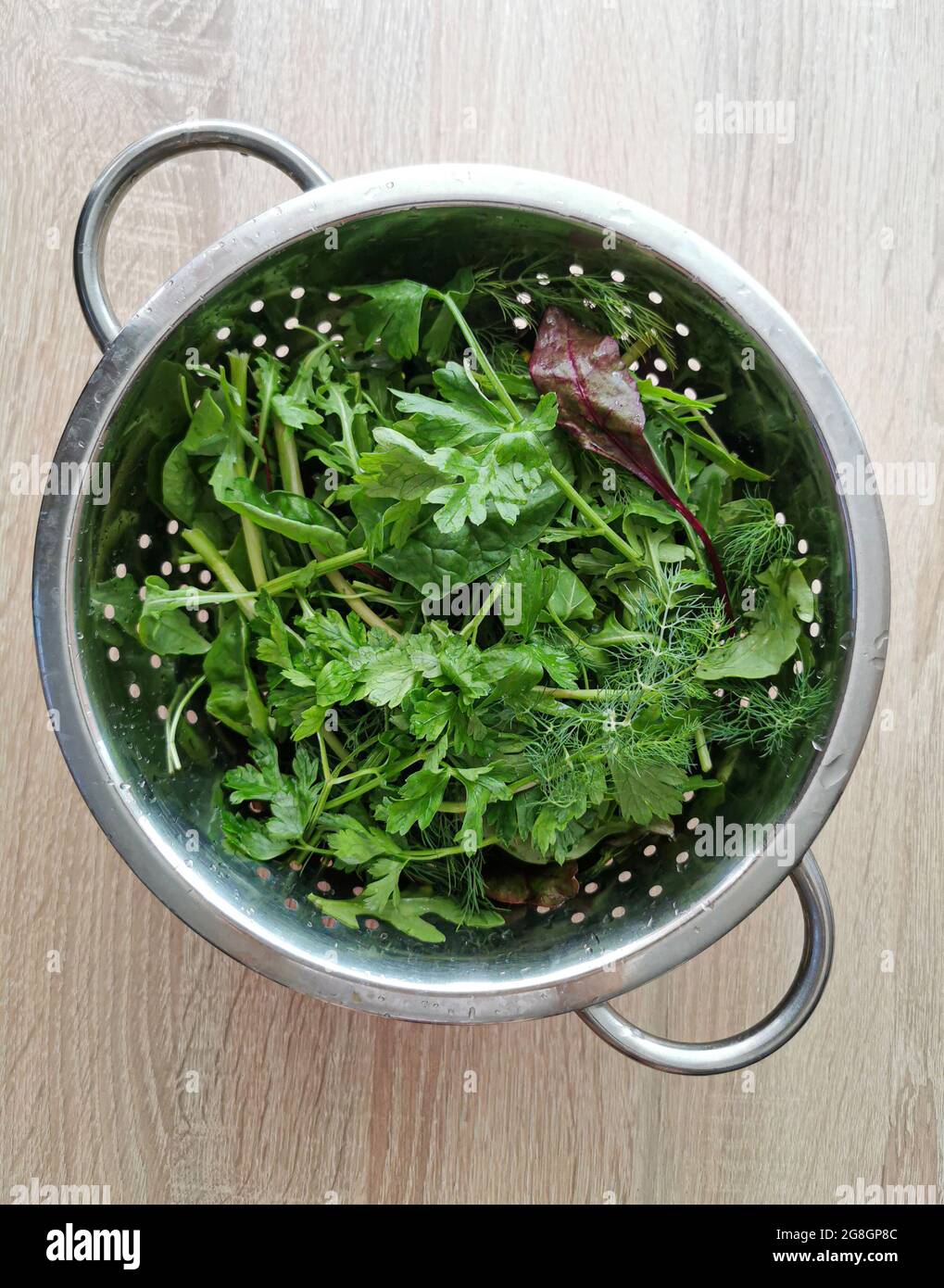 Foglie di spinaci verdi, prezzemolo, aneto, foglie di barbabietole appena lavate Foto Stock