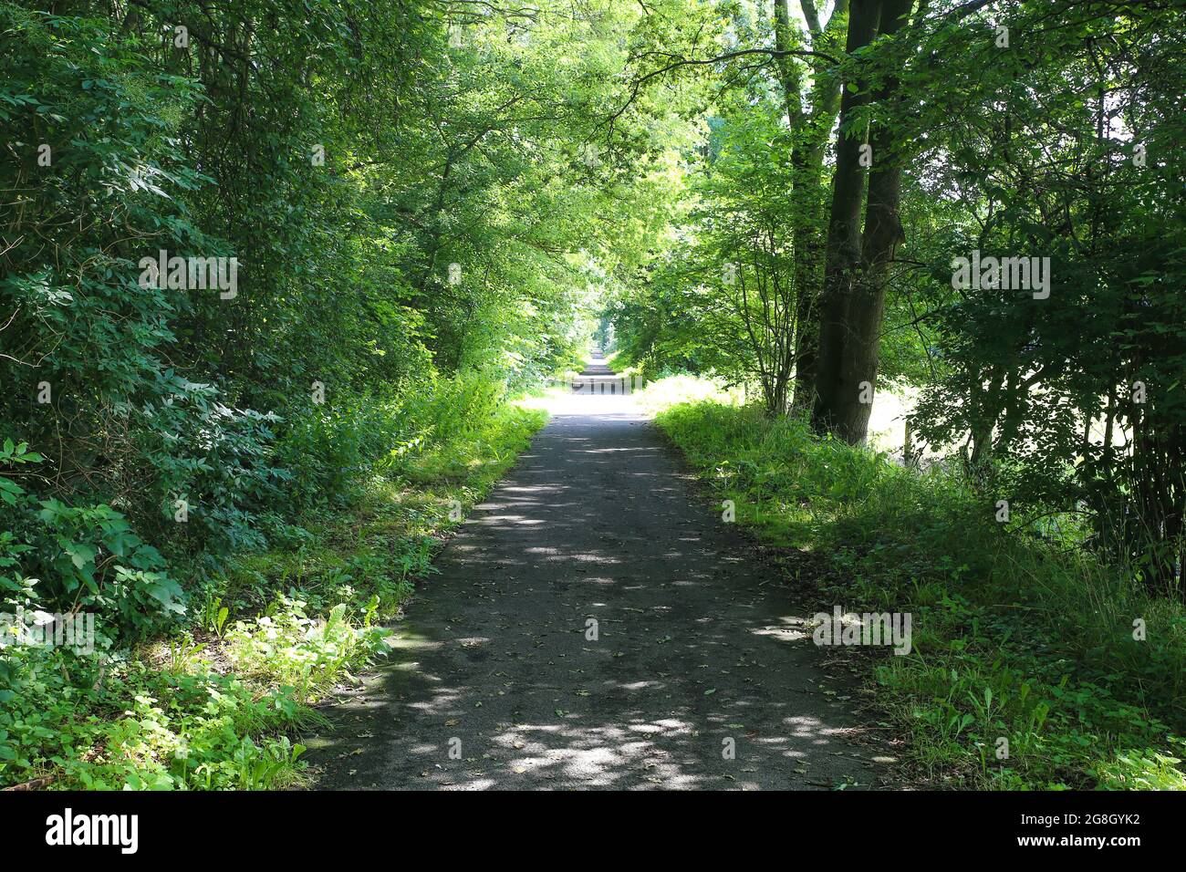 Vista sull'ombreggiata pista ciclabile tra alberi in paesaggio rurale - Germania, tra Suchteln e Kempen Foto Stock