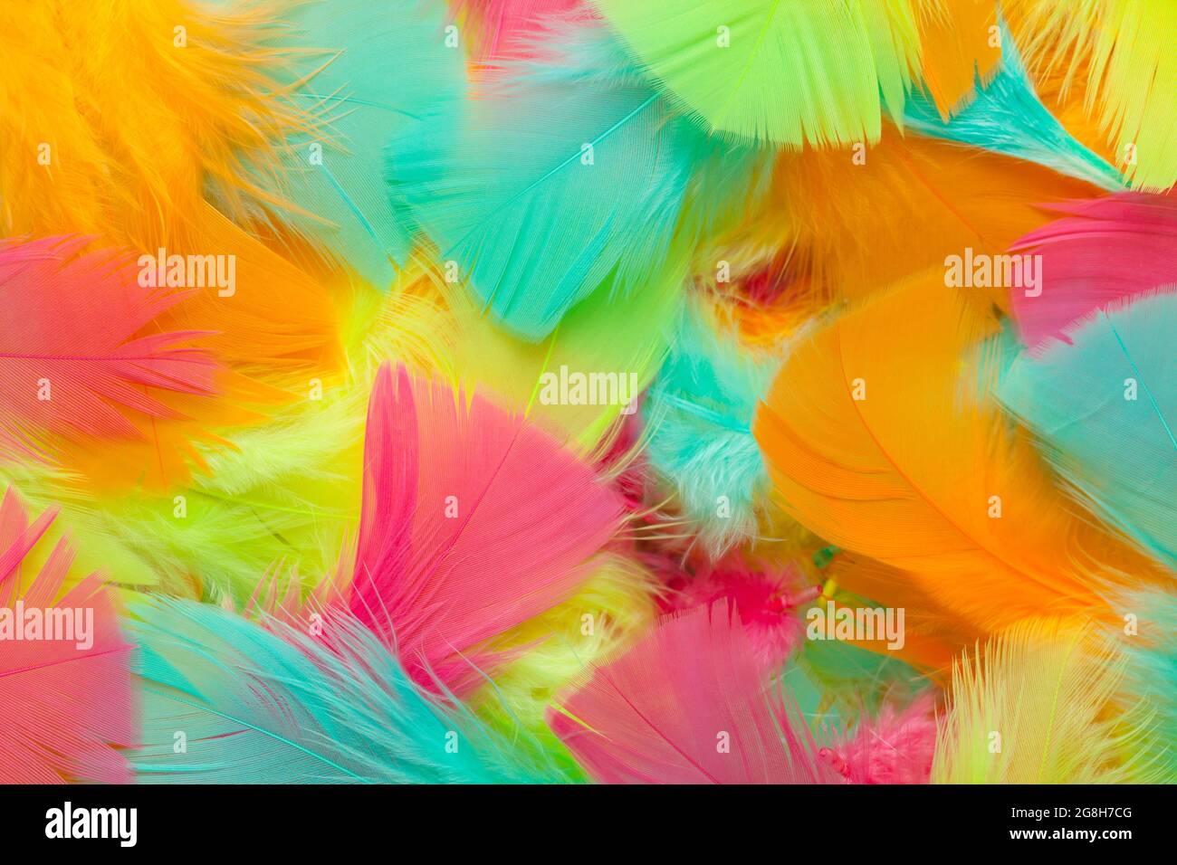 Pile di coloratissime Feathers di uccelli texture di sfondo. Foto Stock