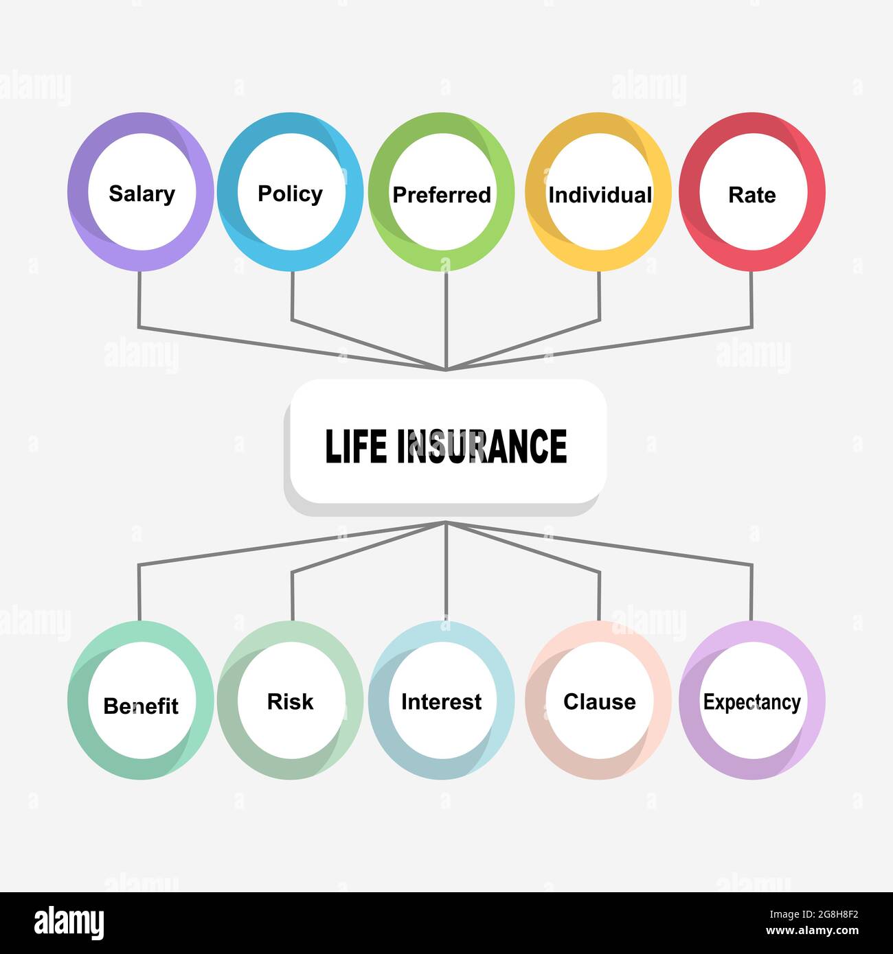 Concetto di diagramma con testo e parole chiave dell'assicurazione sulla vita. EPS 10 isolato su sfondo bianco Illustrazione Vettoriale