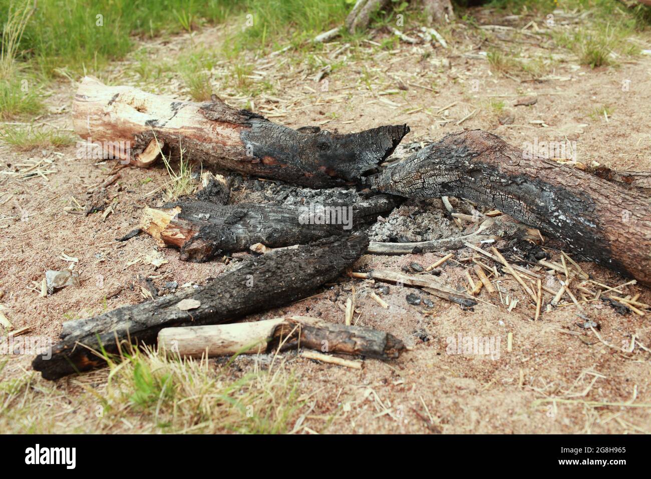 Abbandonato estinto falò nella foresta nero carbonizzato e bruciato tronchi Foto Stock