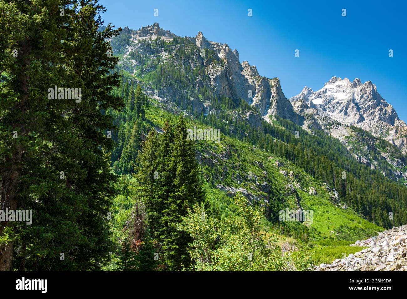 Cascade Canyon Trail nel Grand Tetons Foto Stock