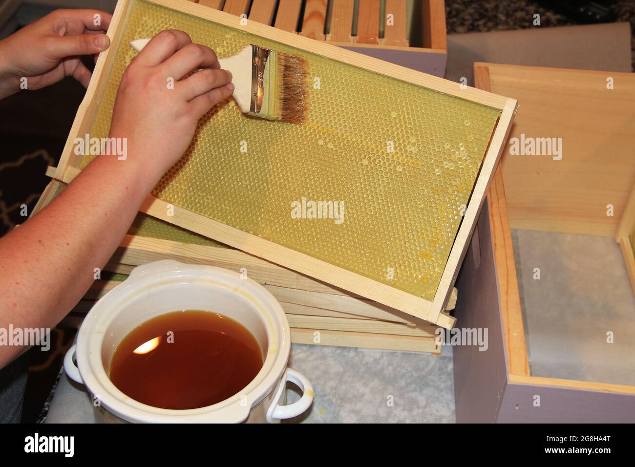 Pittura di cera d'api fusa su Plastic Beehive Foundation Foto Stock
