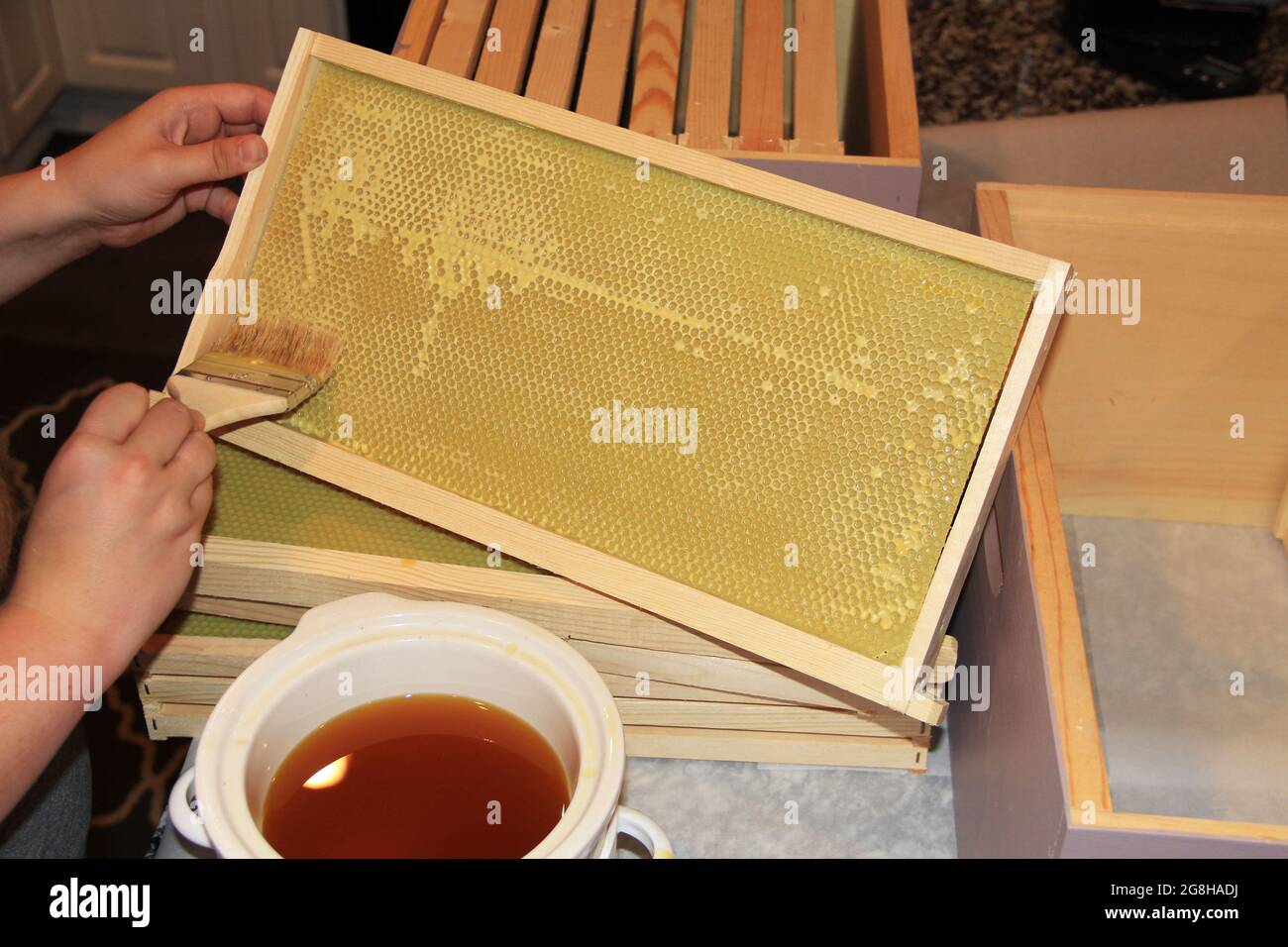 Pittura di cera d'api fusa su Plastic Beehive Foundation Foto Stock