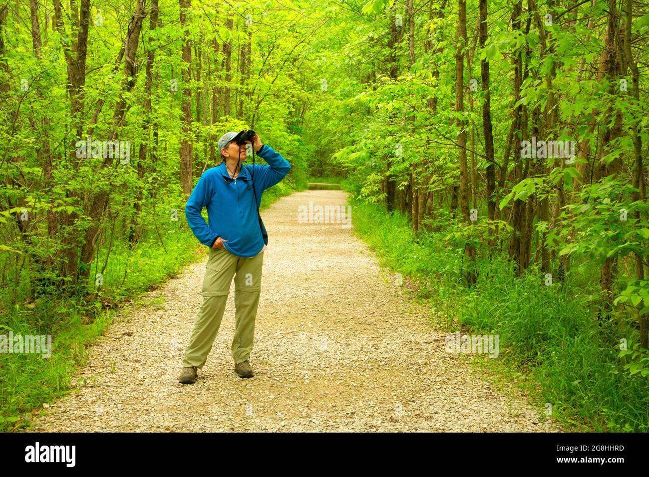 Birdwatching su sentieri escursionistici, Beanblossom Bottoms Nature Preserve, Indiana Foto Stock