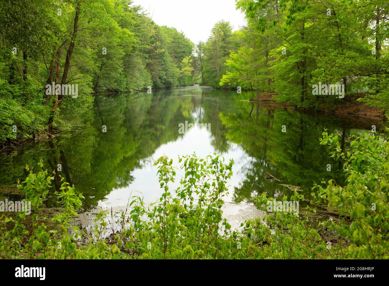 Lago Wampler, Greene Sullivan state Forest, Indiana Foto Stock
