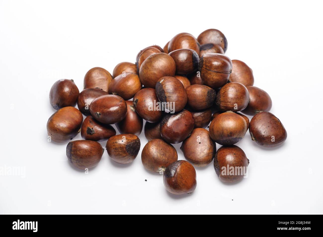 un gruppo di castagne si stese su sfondo bianco Foto Stock