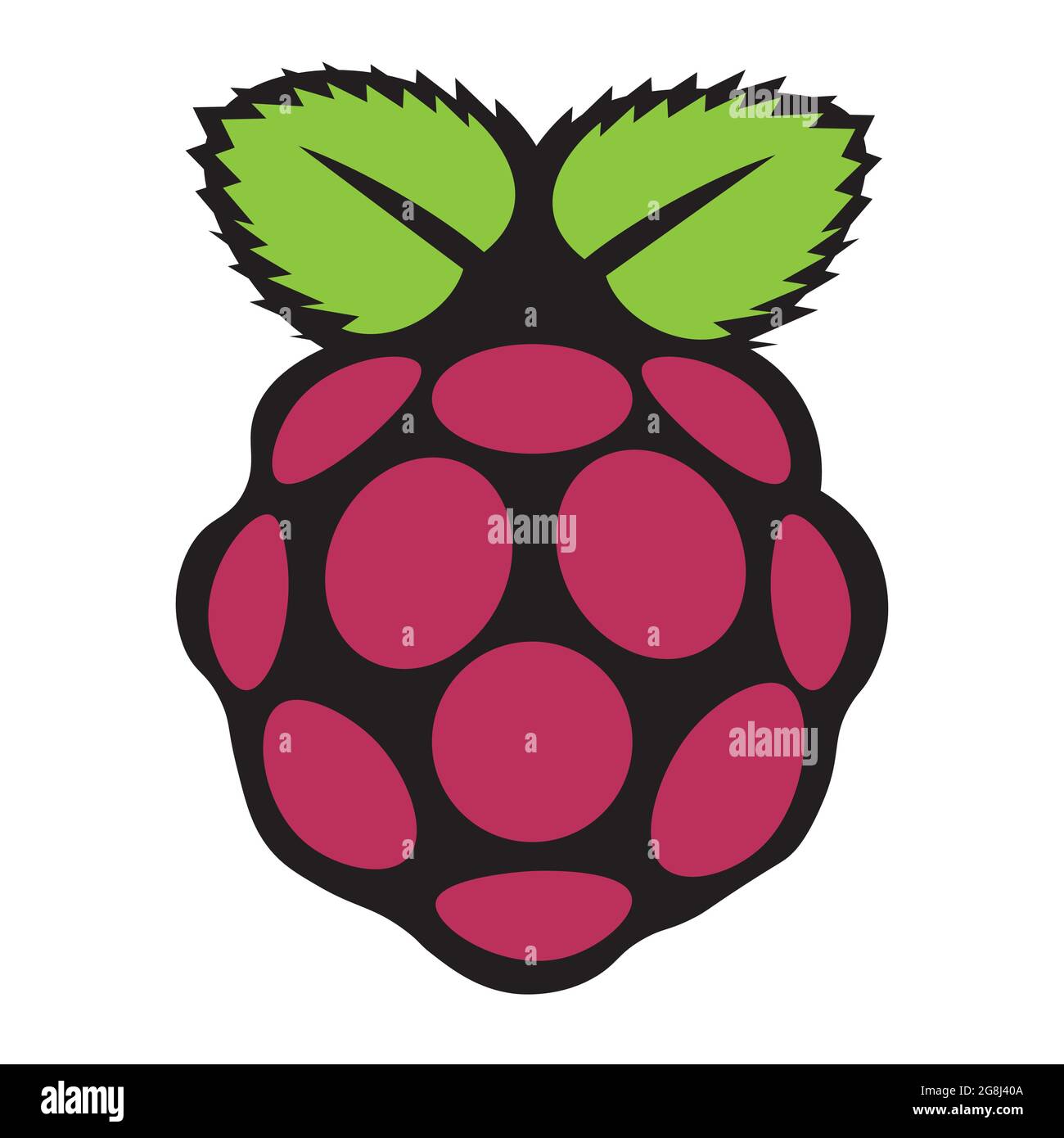 Raspberry Fruit motivo senza giunture illustrazione vettoriale su sfondo bianco Illustrazione Vettoriale