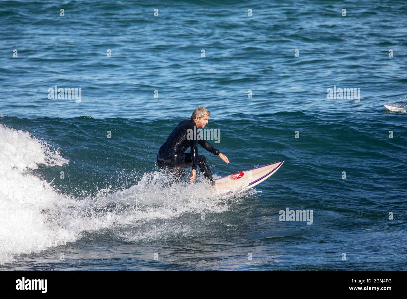 L'uomo australiano che indossa una muta durante il giorno degli inverni fa una corsa sulla sua tavola da surf al largo della costa di una spiaggia di Sydney, NSW, Australia Foto Stock