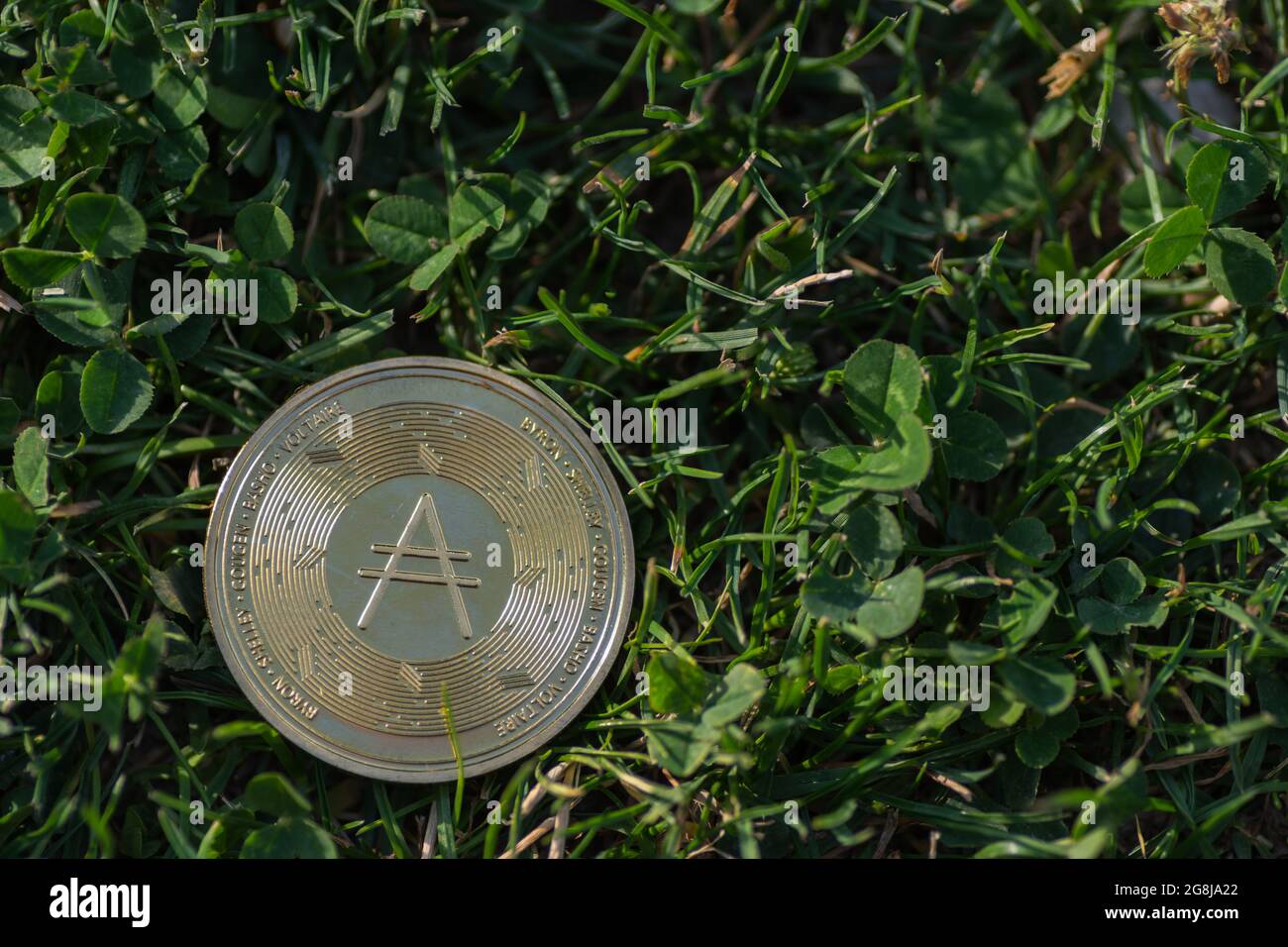 moneta unica ada dorata della valuta cardana giace sul fronte verde dell'erba fresca Foto Stock