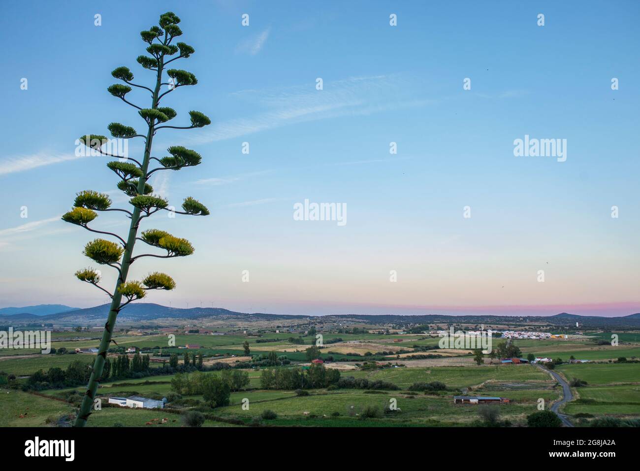 Galisteo, bellissima città murata dalla valle dell'Alagon. Panoramica della campagna dal recinto est. Extremadura, Caceres, Spagna Foto Stock