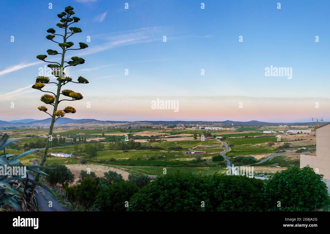 Galisteo, bellissima città murata dalla valle dell'Alagon. Panoramica della campagna dal recinto est. Extremadura, Caceres, Spagna Foto Stock