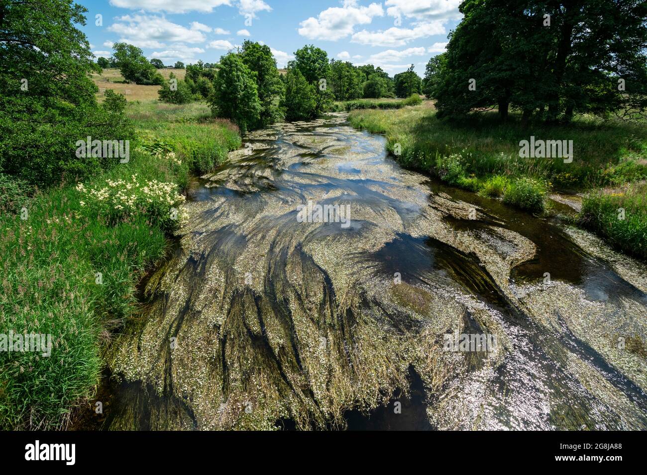 Il fiume Lowther, sul Loop Lowther della Ullswater Way, tra Whale e Helton, Lake District, Cumbria, Regno Unito Foto Stock Il fiume Lowther, sul Loop Lowther della Ullswater Way, tra Whale e Helton, Lake District, Cumbria, Regno Unito Foto Stock
