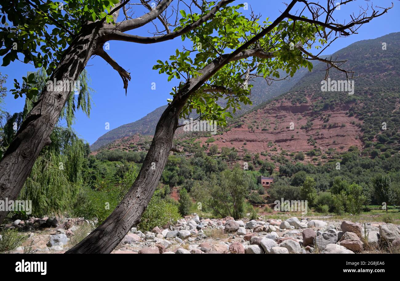 Berber villaggi nella bella valle di Ourika, Alto Atlante ma Foto Stock