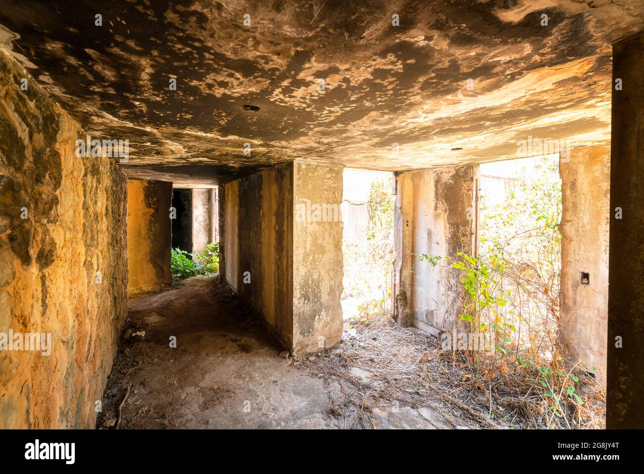 Abbandonato Rashid Karameh Fiera a Tripoli Libano progettato da Oscar Niemeyer Foto Stock