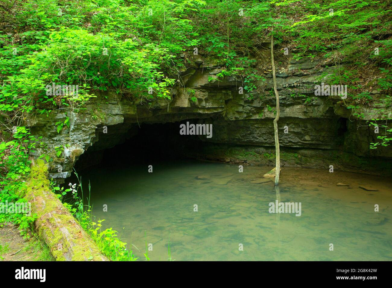 Ingresso alle Twin Caves, Spring Mill state Park, Indiana Foto Stock