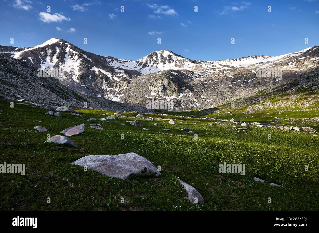 Splendido scenario della valle montana con la cima della neve e prato verde in primo piano. Concetto esterno ed escursionistico Foto Stock