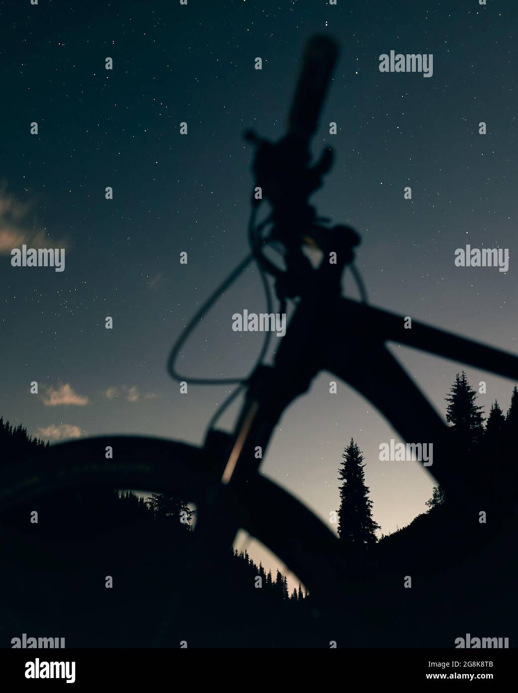 Silhouette di mountain bike e abeti contro cielo notturno con stelle Foto Stock