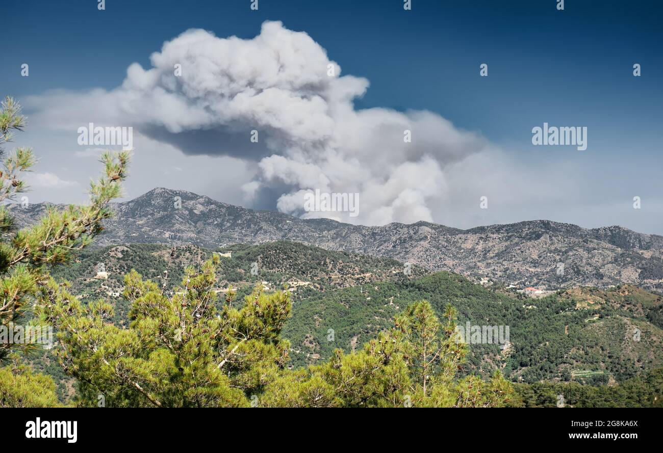 Fumo enorme da un fuoco di foresta sulle montagne lontane con alberi di pino in primo piano. Il fuoco selvatico mortale di Adippou nel 3 luglio 2021 è stato uno dei peggiori Foto Stock