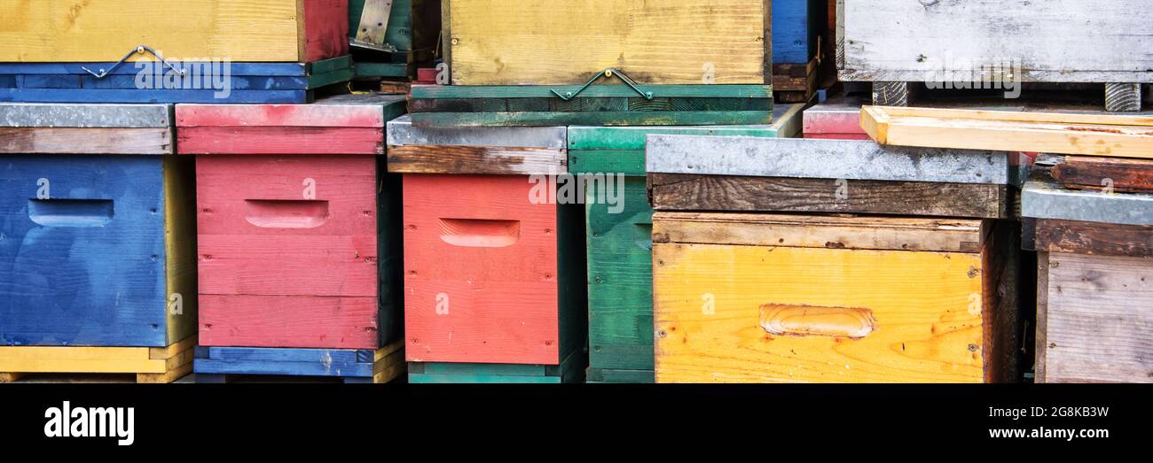 Mucchio di colorati alveari sfondo, banner web panoramico Foto Stock