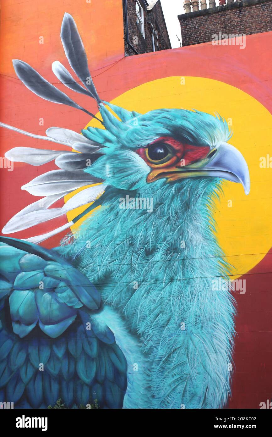Fegato uccello / Segretario Bird murale Foto Stock