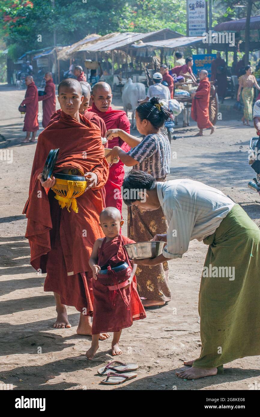 Novizio buddista birmano e monaci più anziani che raccolgono le elemosine in ciotola dai donatori che danno elemosine sulla strada, Monte Pope, Myanmar Foto Stock