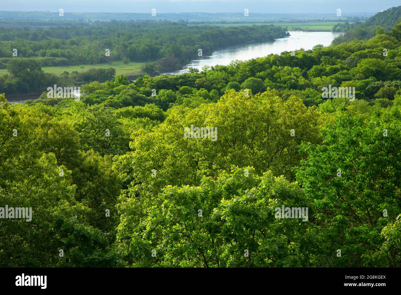 Vista sul fiume Missouri, Indian Cave state Park, Nebraska Foto Stock