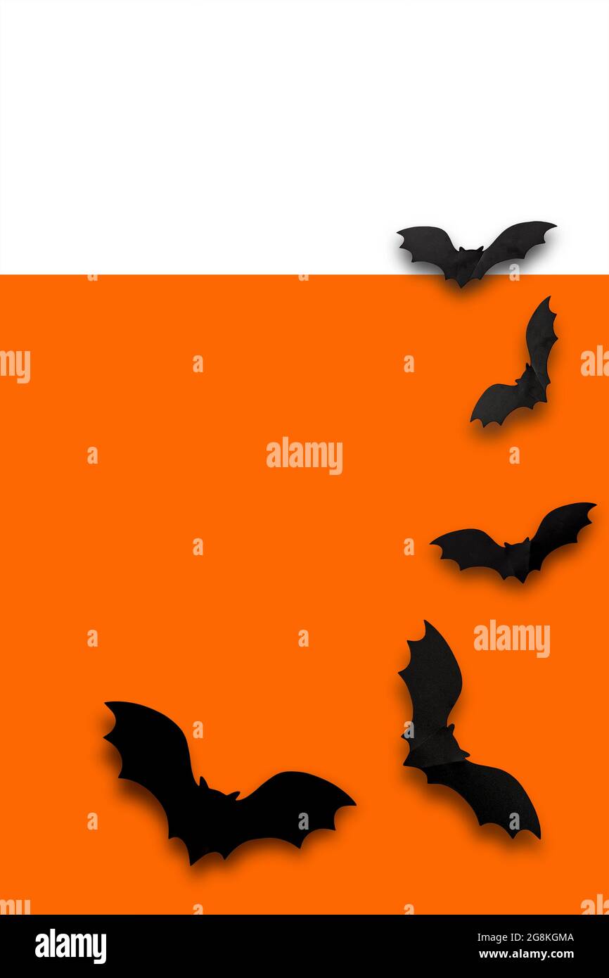 Sfondo di Halloween. Il simbolo della festa di Halloween è i pipistrelli neri su uno sfondo verticale arancione-bianco bicolore. Foto di alta qualità Foto Stock