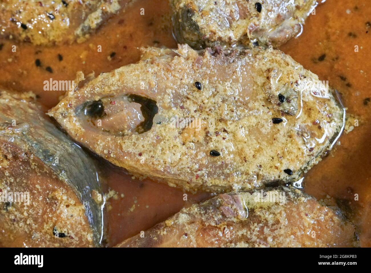 Tenualosa ilisha (ilish, hilsa, hilsa aringa o hilsa shad) pezzi di pesce su piatto, piatto indiano piccante. È il pesce nazionale del Bangladesh. Molto popolare Foto Stock