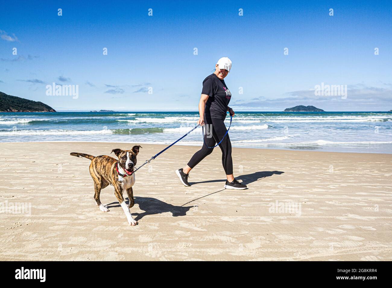 Donna che cammina un cane a Acores Beach. Florianopolis, Santa Foto Stock