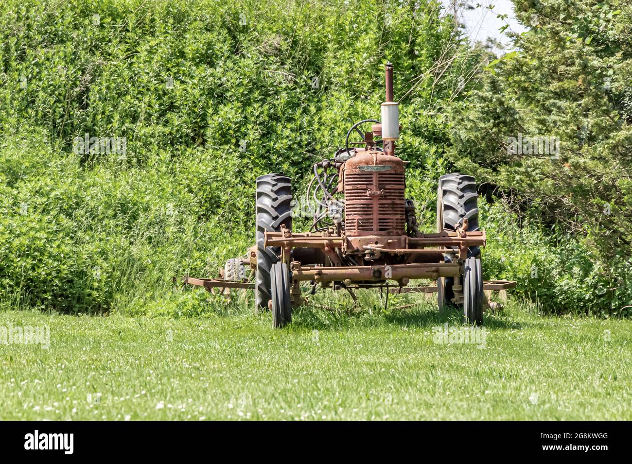 Vecchio trattore agricolo rosso Farmall seduto in un campo Foto Stock